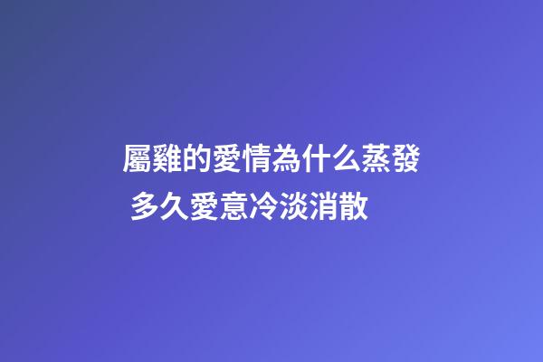 屬雞的愛情為什么蒸發 多久愛意冷淡消散